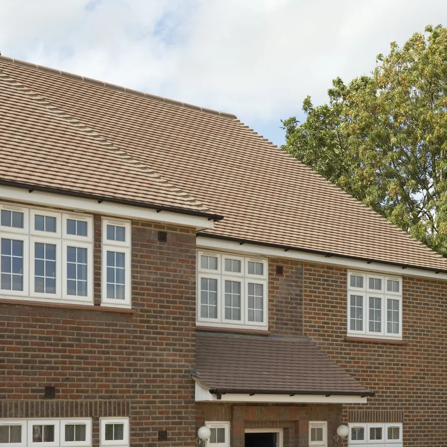 Orangery Bellingham