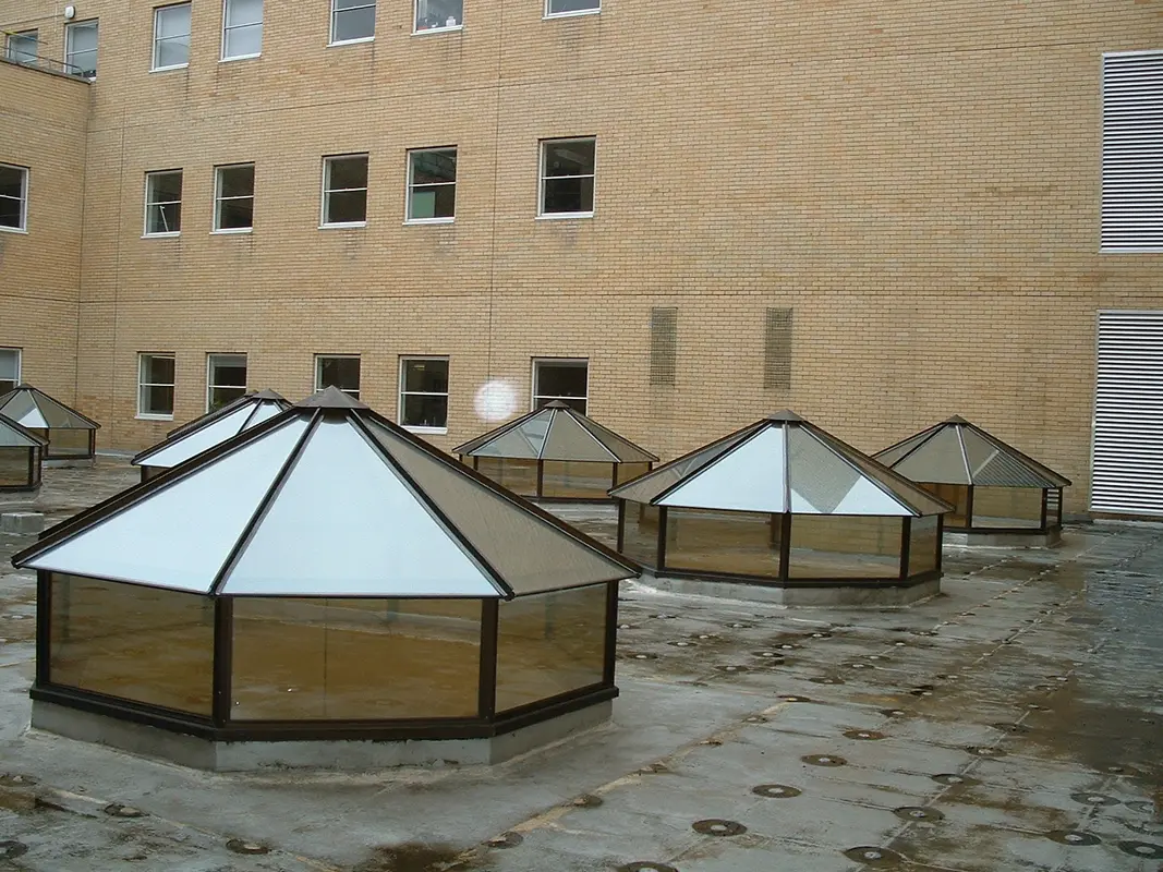 Flat Roof Skylights Bellingham