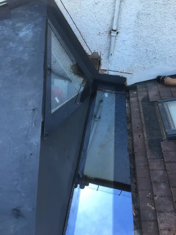 Skylights Bellingham